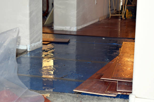 Professional Water Damage Restoration technician working in Morton, PA
